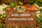 Turnyras „Bobų vasara Dubingiuose 2015“.