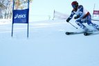 "Žalgirio" žaidynių ir LEKI taurės slalomo milžino varžybos.