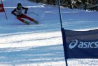 "Žalgirio" žaidynių ir LEKI taurės slalomo milžino varžybos.
