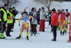 Lietuvos sporto draugijos "Žalgiris" žiemos žaidynių slidinėjimo varžybos Ignalijoje