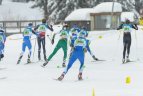 Austrijoje baigėsi Europos orientavimosi sporto slidėmis čempionatas