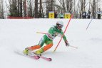 Lietuvos sporto draugijos „Žalgiris“ žaidynių kalnų slidinėjimo varžybų antroji diena. Slalomas.