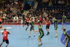 Lietuva – Belgija 33:28.