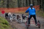 Lietuvos šunų kinkinių sporto federacijos varžybos Kernavėje