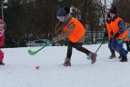 Kačerginėje per pasaulinę "Sniego dieną" buvo žaidžiamas ledo ritulys