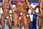 IFBB tarptautinis kultūrizmo turnyras "Olympia Amateur Spain".