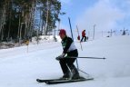 Žalgiriada ir LEKI taurė.