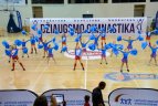 2016-05-29. „Sportas visiems“ festivalis Palangoje