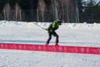 Geriausi 2017-ųjų fotografo Alfredo Pliadžio kadrai.