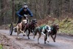 Geriausi 2017-ųjų fotografo Alfredo Pliadžio kadrai.