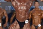 IFBB tarptautinis kultūrizmo ir fitneso turnyras „Arnold Classic Europe”