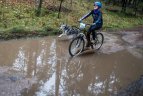 Lietuvos šunų kinkinių sporto federacijos varžybos Kernavėje