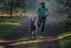 Lietuvos šunų kinkinių sporto federacijos varžybos Kernavėje