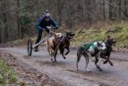 Lietuvos šunų kinkinių sporto federacijos varžybos Kernavėje