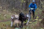 Lietuvos šunų kinkinių sporto federacijos varžybos Kernavėje