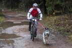 Lietuvos šunų kinkinių sporto federacijos varžybos Kernavėje