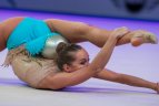 Antrasis tarptautinis meninės gimnastikos turnyras „Dalios Kutkaitės Vilniaus taurė 2016“.