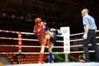 Kaune vyko Lietuvos muaythai čempionatas