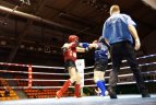 Kaune vyko Lietuvos muaythai čempionatas