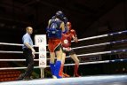 Kaune vyko Lietuvos muaythai čempionatas