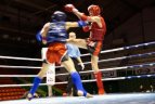 Kaune vyko Lietuvos muaythai čempionatas