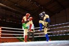 Kaune vyko Lietuvos muaythai čempionatas