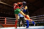 Kaune vyko Lietuvos muaythai čempionatas