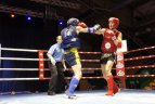 Kaune vyko Lietuvos muaythai čempionatas