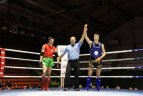 Kaune vyko Lietuvos muaythai čempionatas