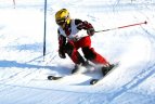 "Žalgirio"žaidynių ir LEKI taurės slalomo varžybos.