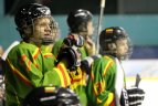 NLRL. "Hockey Punks“ – „Geležinis vilkas" 6:3.