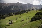 Penki lietuviai dviračiais apkeliavo Kirgiziją