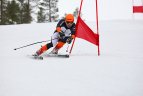 kalnų slidinėjimo Baltijos taurė. Treniruotės
