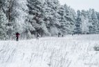 Tradicinis "Snaigės" žygis Vilniuje.