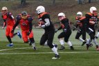 „Vilnius Iron Wolves“ – „Kaliningrad Amber Hawks“ 0:14.