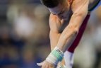 Europos žaidynių paskutinę dieną triumfavo gimnastas R.Tvorogalas.