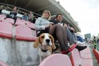 Vilniaus "Žalgiris"- Gargždų "Banga" - 2:0