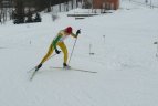 Mokinių olimpinio festivalio slidinėjimo ir kvadrato varžybos.
