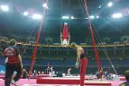 Gimnastai Laura Švilpaitė ir Rokas Guščinas dalyvaus Londono žaidynėse