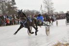 Ristūnų lenktynės "Sartai 2014".