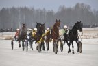 Šeštadienį vyko "Sartai 2015" žirgų lenktynės