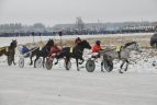 Šeštadienį vyko "Sartai 2015" žirgų lenktynės