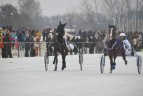 Šeštadienį vyko "Sartai 2015" žirgų lenktynės