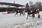 Šeštadienį vyko "Sartai 2015" žirgų lenktynės