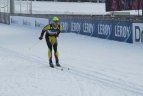 Lietuvos nacionalinės slidinėjimo asociacijos narių tarptautinis sezonas.