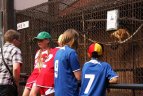 Tradicinė vaikų globos namų futbolo šventė „MTG Futbolas taikai“.